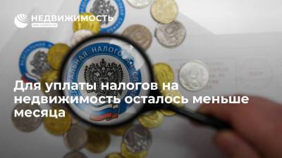 Для уплаты налогов на недвижимость осталось меньше месяца