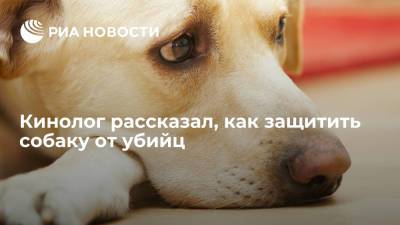 Владимир Голубев - Кинолог Голубев: защитить собаку от желающих ее отравить поможет команда "фу" - ria.ru - Москва - Россия