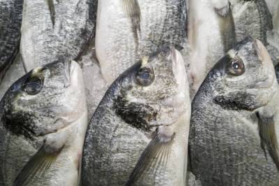В ЕАО незаконно торговали рыбой без документов