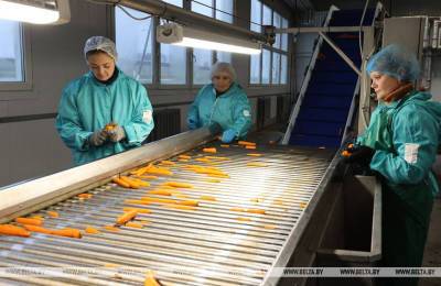 Филиал «Витебскэнерго» в Оршанском районе нарастил производство замороженной продукции