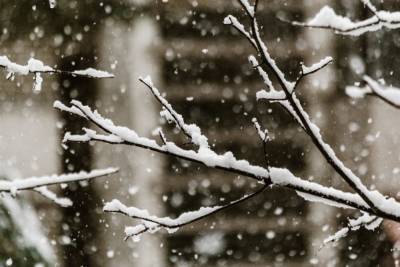 8 ноября в Ленобласти ожидается сильный дождь со снегом