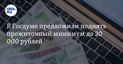 В Госдуме предложили поднять прожиточный минимум до 20 000 рублей