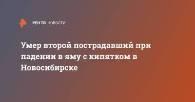 Умер второй пострадавший при падении в яму с кипятком в Новосибирске