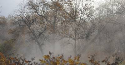 Погода в Украине: в центральных областях дожди, местами туман (КАРТА)