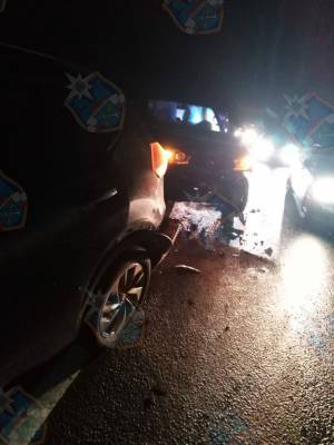 Три автомобиля столкнулись на трассе «Кола» в Волховском районе — фото