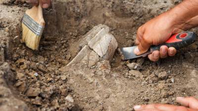Археологи нашли в Турции каменные головы Афродиты и Диониса