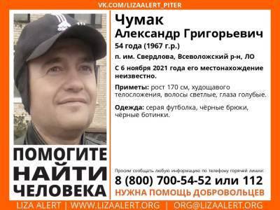 Элизабет Алерт - Во Всеволожском районе без вести пропал 54-летний мужчина - ivbg.ru - Украина - Ленобласть