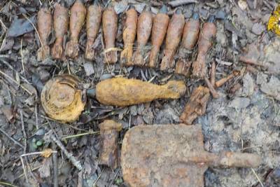 В Тверской области недалеко от Ржева нашли 12 мин времён войны