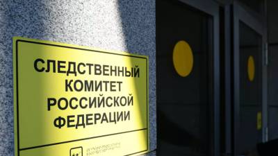 Правозащитник просит главу СК России взять под контроль дело об изнасиловании девушки в ОВД «Люблино»