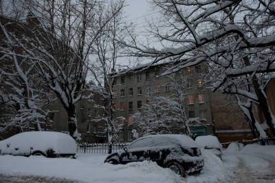 Сегодня вечером в Петербурге ожидается зима