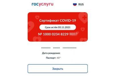 Из-за сбоя на портале «Госуслуги» многие россияне остались без QR-кодов