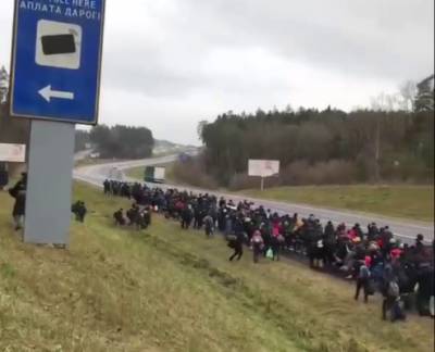 Организованная толпа мигрантов со стороны Белоруссии решила штурмовать границу Польши
