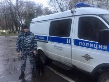 Служебная собака вернула пенсионеру из Череповца похищенный телефон