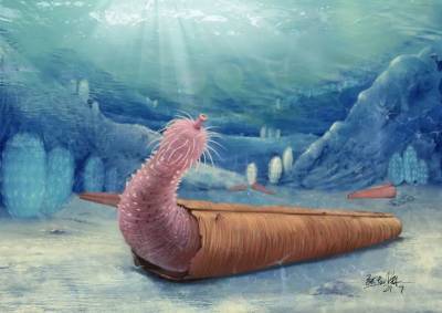В древних морях обитали свирепые черви-пенисы