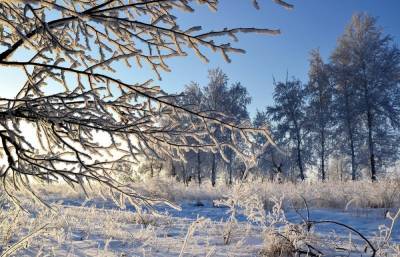 В Центральную Россию идет метеорологическая зима