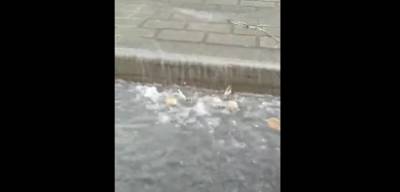 В центре Липецка – потоп (видео)