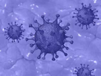 583 человека заразились коронавирусом за минувшие сутки