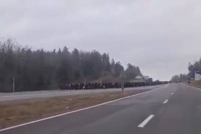 В Белоруссии сообщили о сотнях беженцев, идущих к Польше