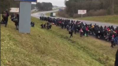 Сотни мигрантов в Беларуси идут по шоссе к польской границе