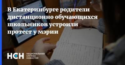 В Екатеринбурге родители дистанционно обучающихся школьников устроили протест у мэрии
