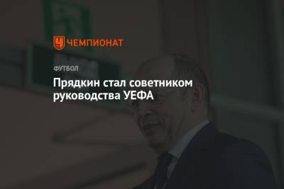 Прядкин стал советником руководства УЕФА