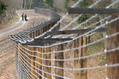 Польша обвинила Белоруссию в возможных смертях среди беженцев на границе