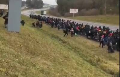 На польско-белорусской границе сняли на видео огромную толпу беженцев