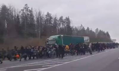На белорусско-польской границе толпа мигрантов забросала пограничников камнями и бутылками
