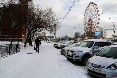 Новосибирский вирусолог Сергей Нетесов назвал бесполезными нерабочие дни в регионе