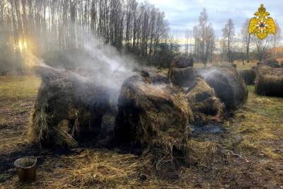 Девять рулонов сена в Ельнинском районе могли поджечь умышленно