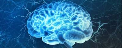 Nature: мозговой имплант перевел мысли парализованного мужчины в текст с точностью 94%
