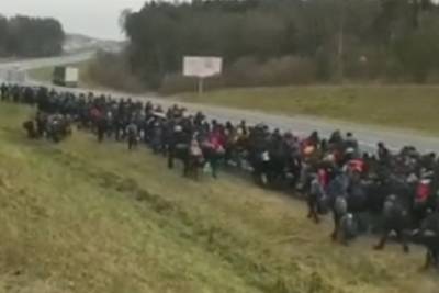 Сотни мигрантов вошли в Польшу через границу с Белоруссией