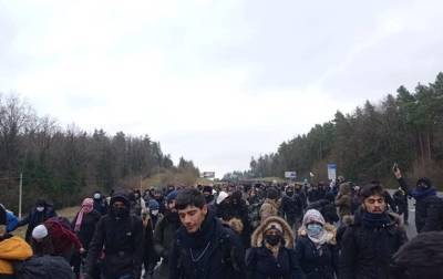 Польша отреагировала на караван мигрантов из Беларуси