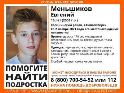 В Новосибирске без вести пропал 16-летний подросток