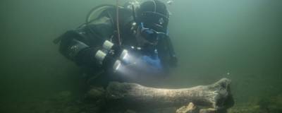 Под Курганом на дне реки Тобол найдены кости древнего бизона