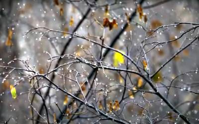 Дожди перейдут в снег и ударит тепло: народный синоптик рассказал о погоде в ноябре и декабре