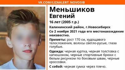 В Новосибирске ищут 16-летнего парня, который не вернулся из школы