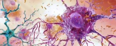 Science Advances: в иммунных клетках мозга есть ген ABI3, связанный с болезнью Альцгеймера