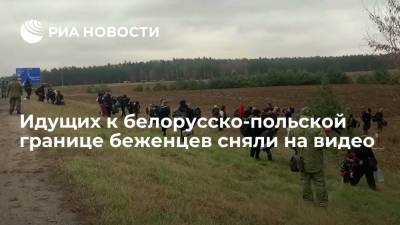 В Белоруссии сняли на видео толпу беженцев, идущих к границе с Польшей