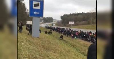 Польща приводить військових у боєготовність через ситуацію з мігрантами на кордоні з Білоруссю