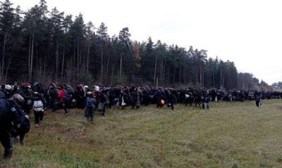 Власти Польши и Литвы стягивают войска к границе с Беларусью из-за потока мигрантов