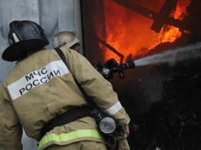 На Южном Урале на пожаре погибли пенсионерка и мужчина