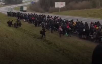 Польша и Литва стягивают войска к границе с Беларусью из-за наплыва мигрантов
