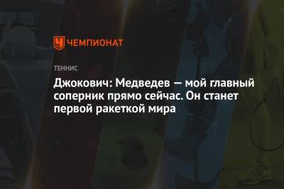 Джокович: Медведев — мой главный соперник прямо сейчас. Он станет первой ракеткой мира