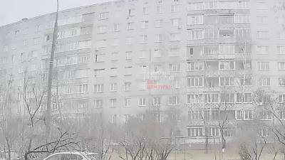 Кота выкинули из окна девятого этажа в Сормовском районе