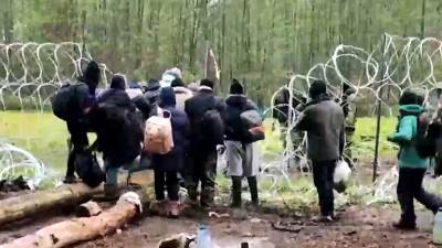 На границе Польши и Белоруссии большая группа мигрантов из Африки и Ближнего Востока попыталась прорваться в ЕС