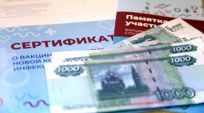 В Петербурге возбудили девять уголовных дел о подделке ковид-сертификатов