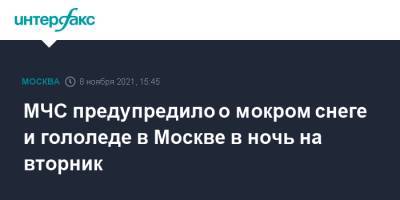 МЧС предупредило о мокром снеге и гололеде в Москве в ночь на вторник