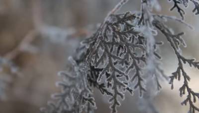 Украину накроют морозы до минус 8: синоптик предупредила о резком похолодании — дата