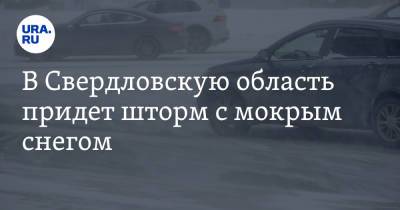 В Свердловскую область придет шторм с мокрым снегом